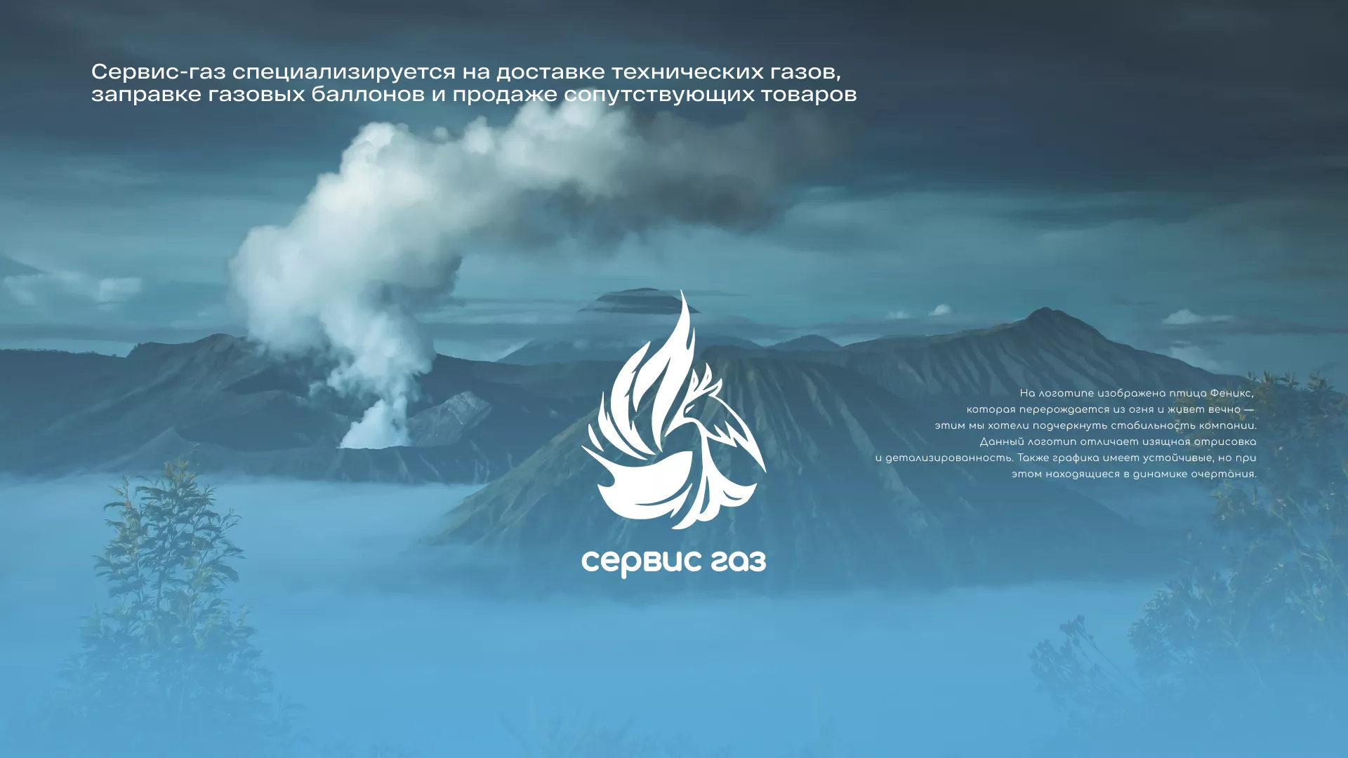 Создание сайта компании «Сервис газ» в Старой Купавне