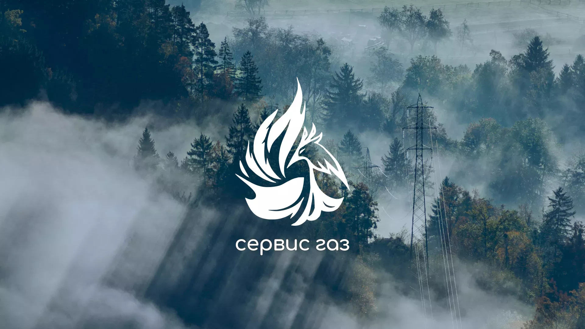 Создание сайта компании «Сервис газ» в Старой Купавне