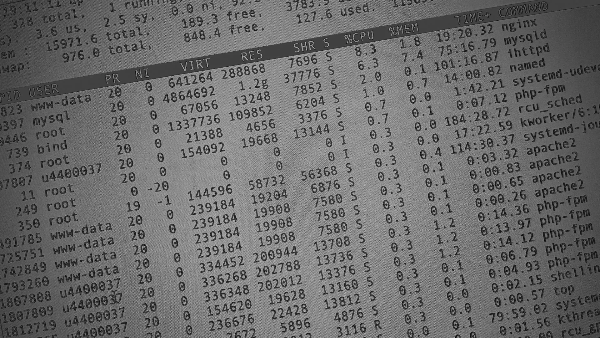 Настройка сервера в Старой Купавне