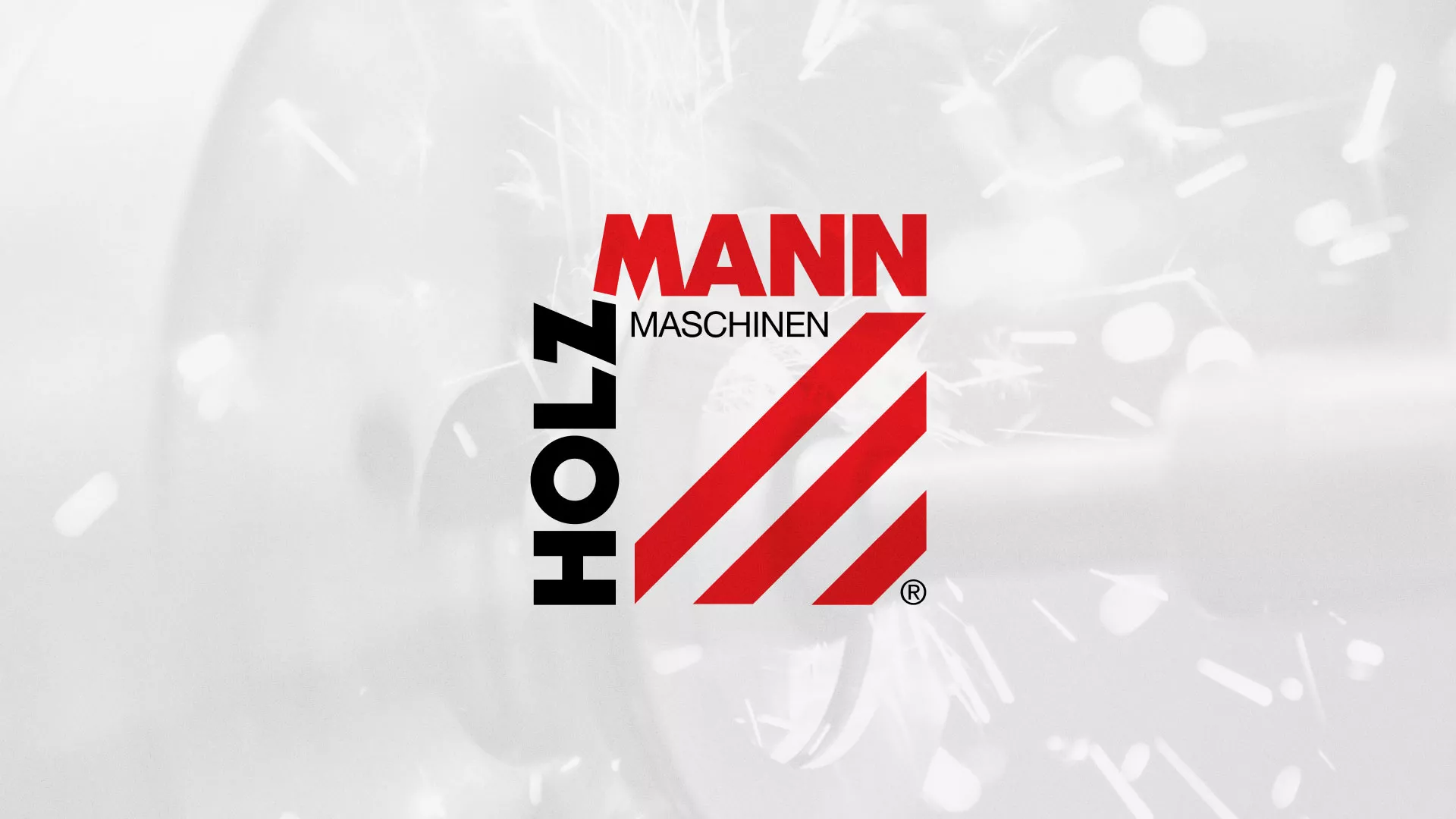 Создание сайта компании «HOLZMANN Maschinen GmbH» в Старой Купавне